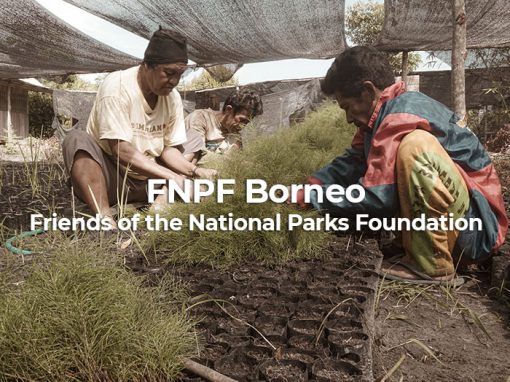 Friends of the National Parks Foundation Borneo