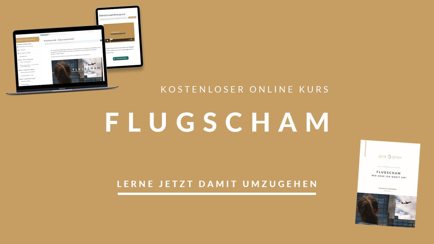 grafik Flugscham Online Kurs