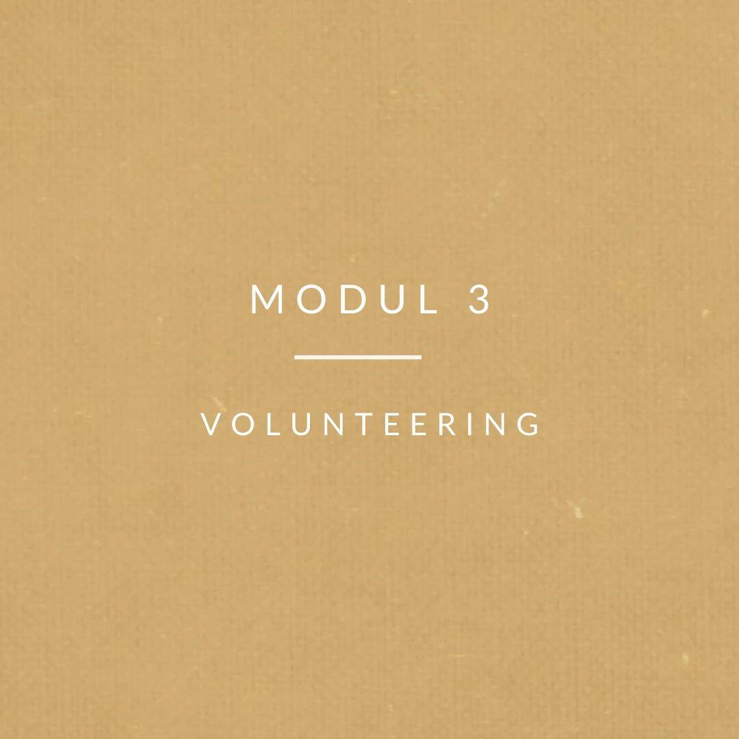 Modul 3 Volunteering