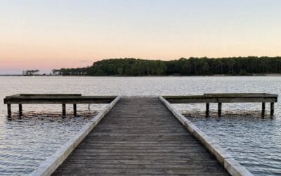 Nachhaltig reisen 2026: Die 10 besten Tipps für verantwortungsvolles Reisen