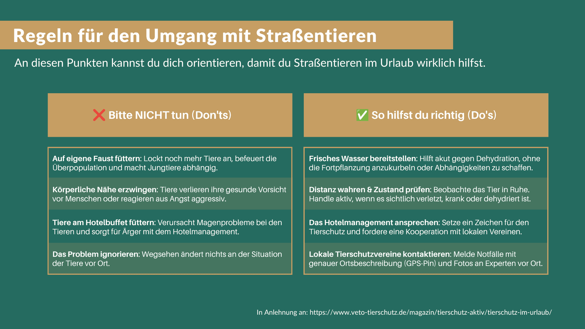 Straßentiere_Dos_Donts_DE